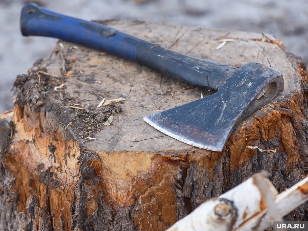     Югорчане высказываются об инциденте в соцсетях