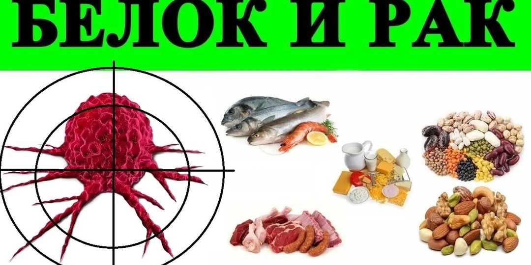 Какой белок выбрать при онкологии