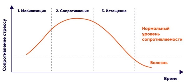 
1. Мобилизация - осознание стрессовой ситуации, выработка адреналина и кортизола провоцируют беспокойство, тревогу, боязнь и неуверенность.
