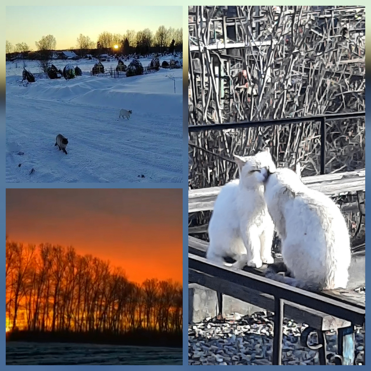 Фото автора. Кладбище где ребята пытались остаться живыми...