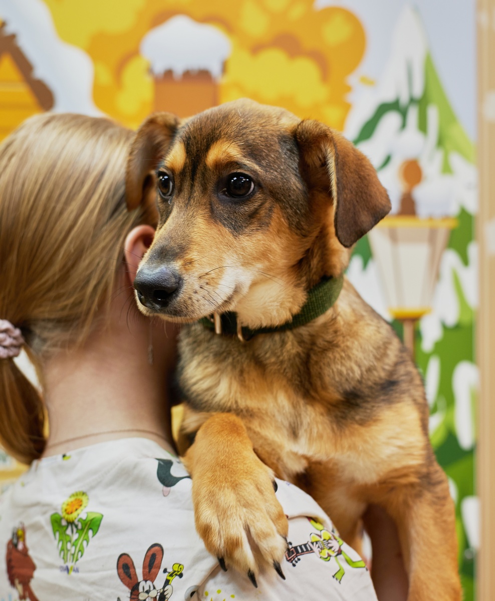 Ганс всё ещё мечтает о чуде!