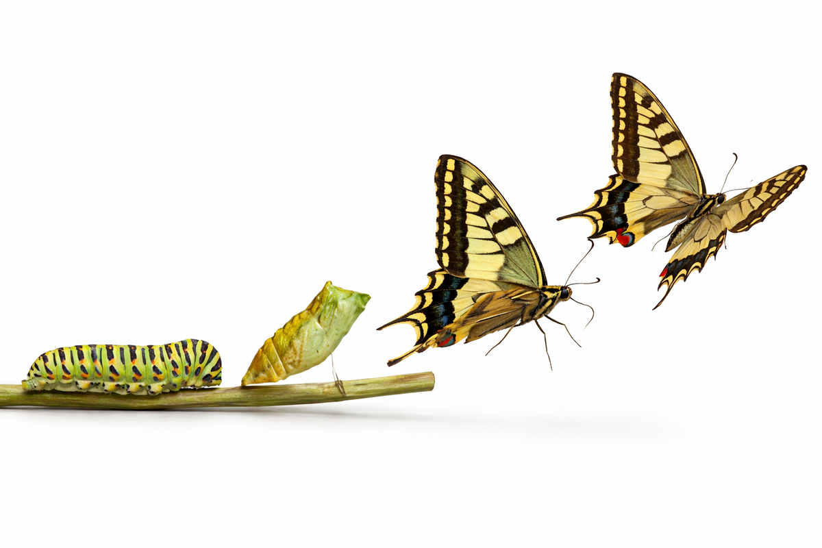 7 новых стадий расставания: самое полное руководство