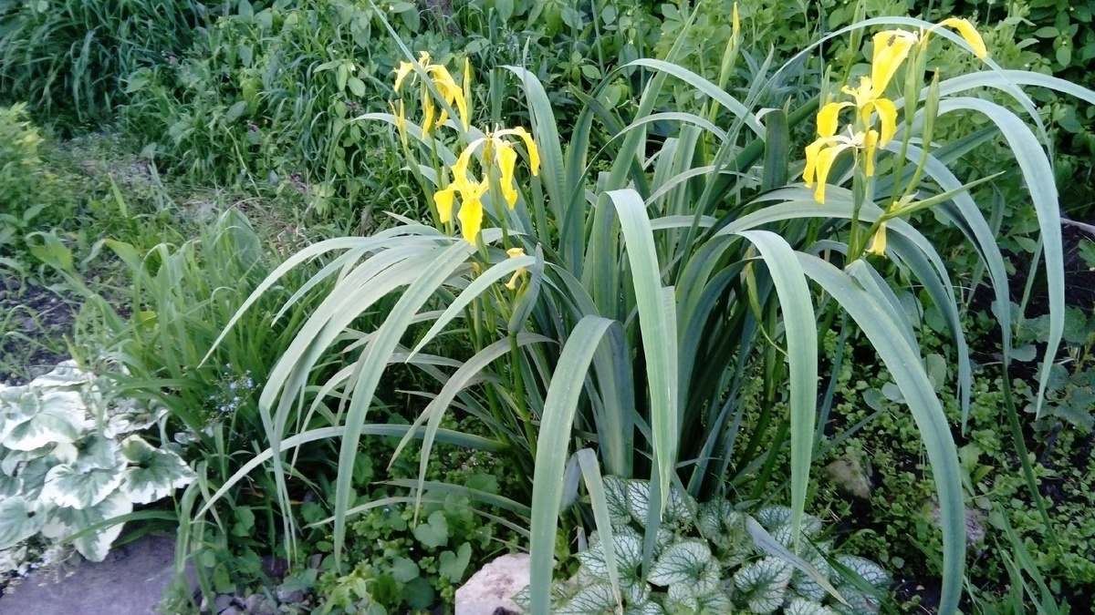 для примера