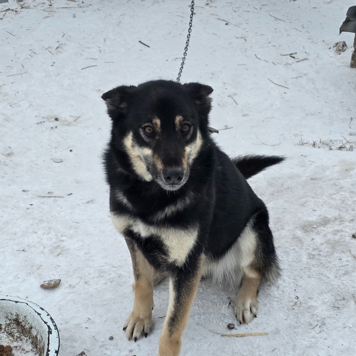 грустные глаза полные надежды