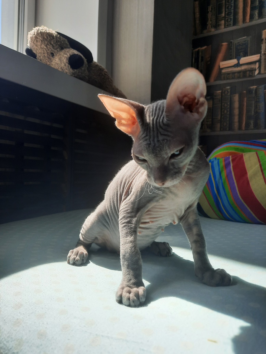 Малышке 3 месяца