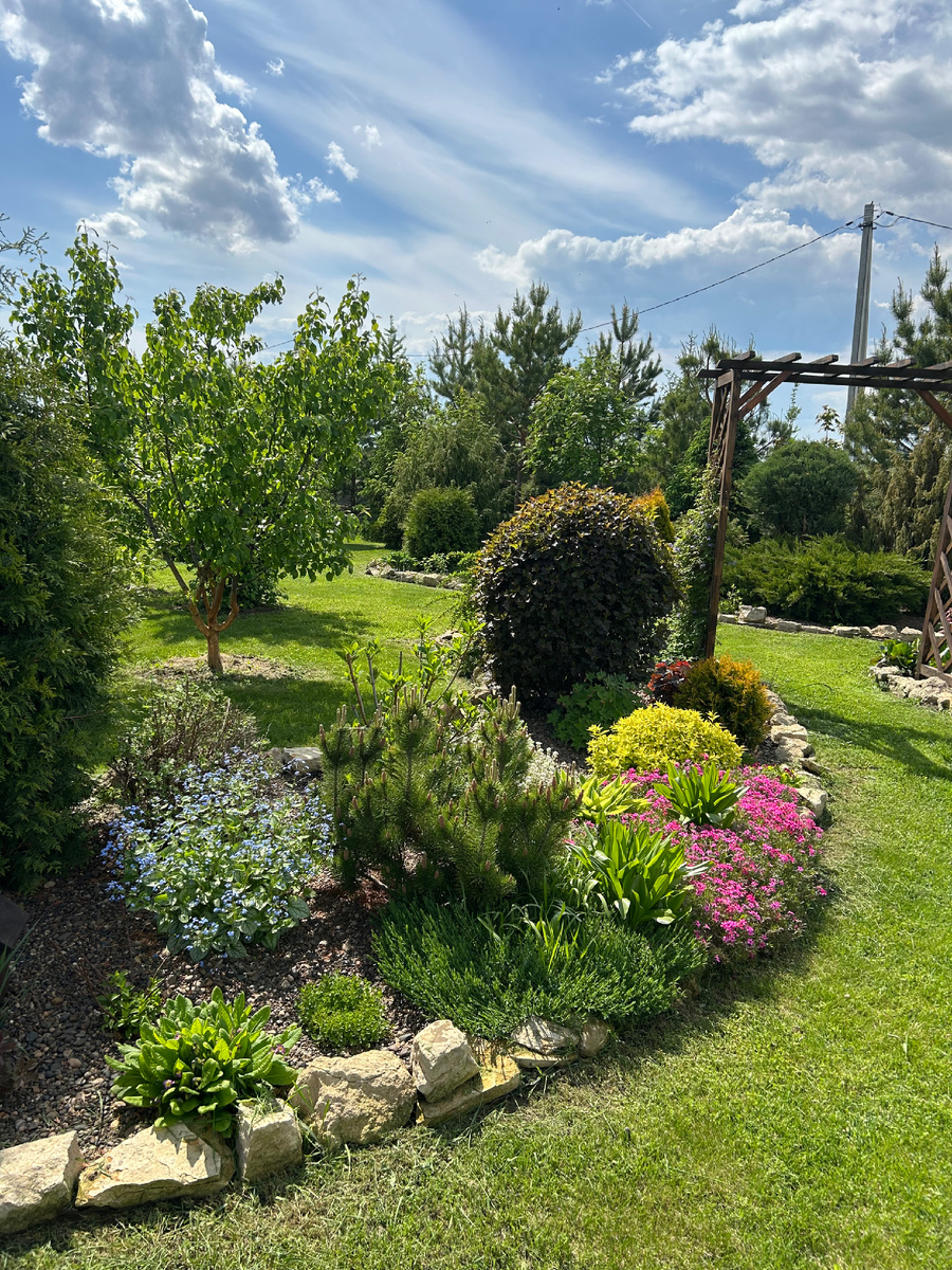 Миксбордер с прчвопокровными растениями. Фото Мой второй сад