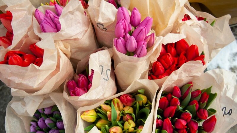     Букеты тюльпанов. Дмитрий Лямзин