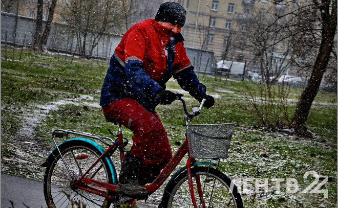    © Анастасия Илюшина / ЛенТВ24, архивное фото