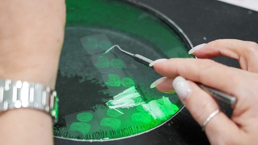    Фото: ИЗВЕСТИЯ/Эдуард Корниенко