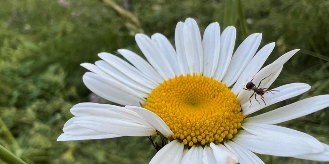 Остановись, мгновенье! Семьдесят прекрасных фото моих прогулок. Кузбасс