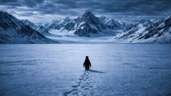 А вот так пингвина облагородили на одном сайте про духовные практики и саморазвитие.