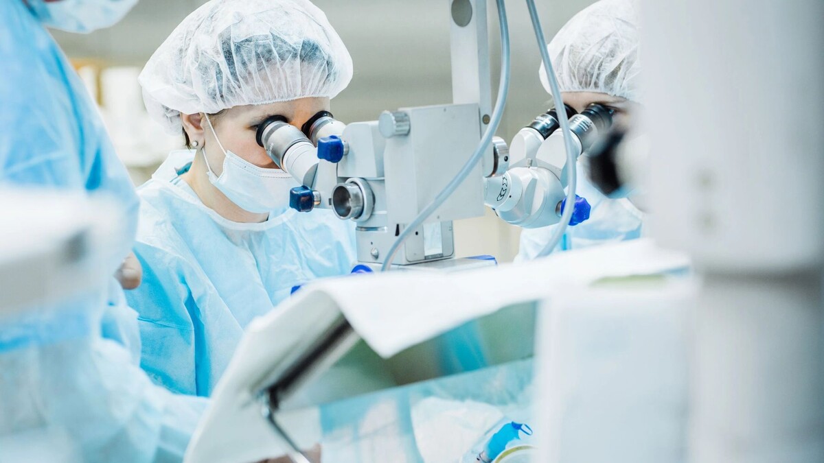    Фото: PRESSLAB/Shutterstock/Fotodom