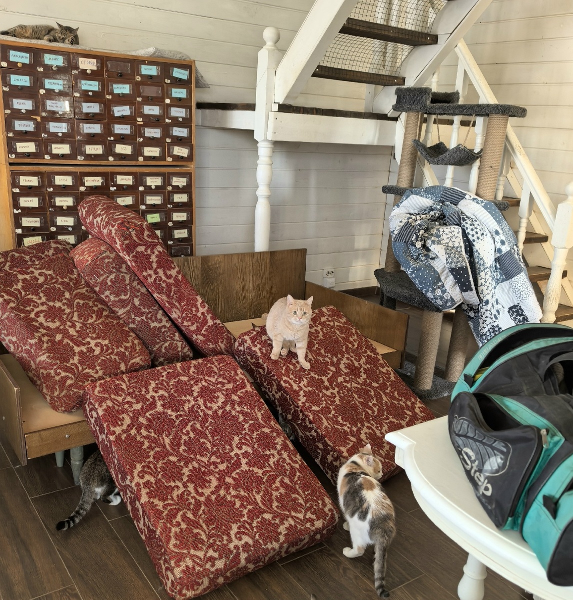 Максимка рад!