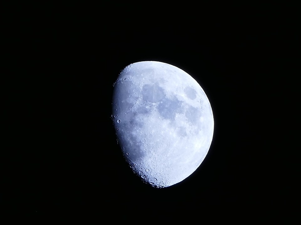    Фото: pixabay.com