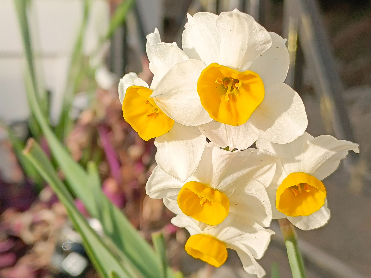 Адлер, февраль 2026 года.