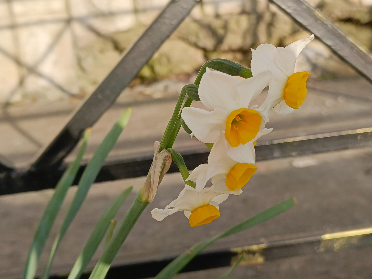 Адлер, февраль 2026 года.