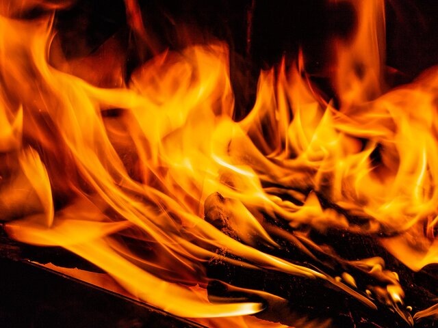    Фото: 123RF.com/alias612