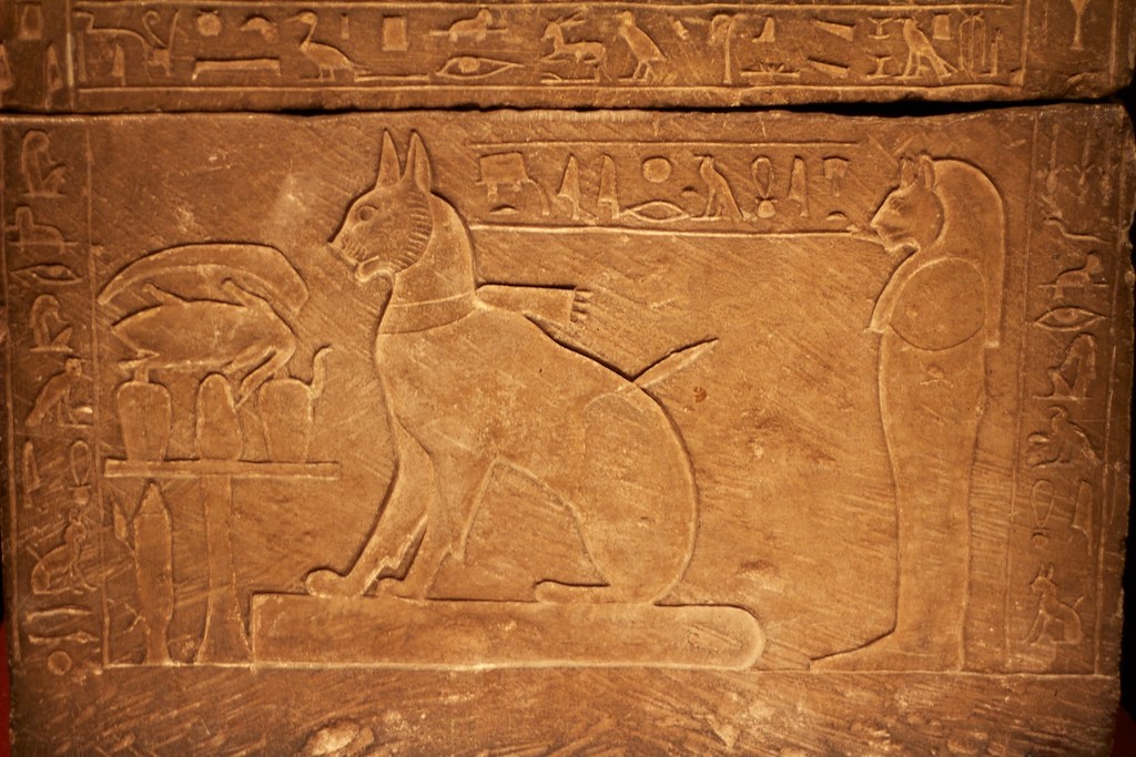 Фото взято из открытого источника Яндекс