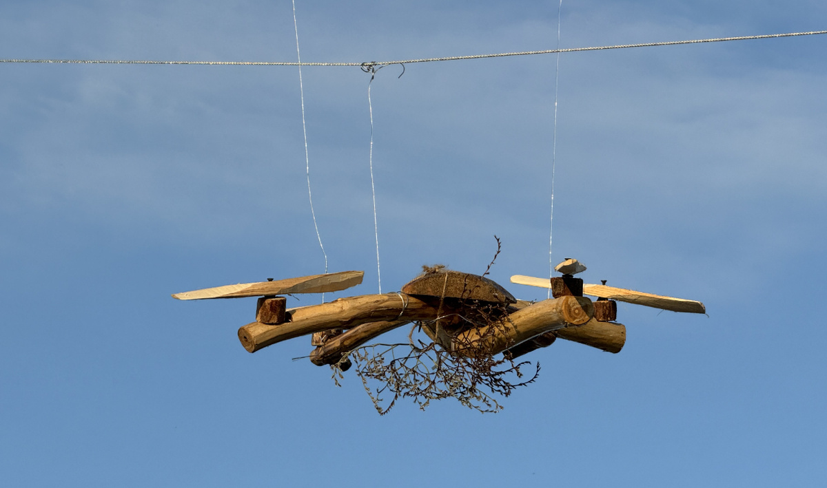     Дрон. Автор: редакция. Фото: редакция.