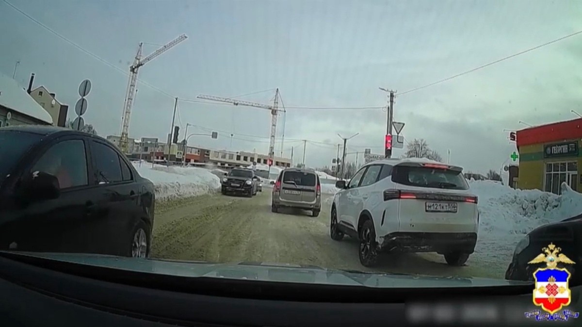 Скриншот из видео МВД по Марий Эл