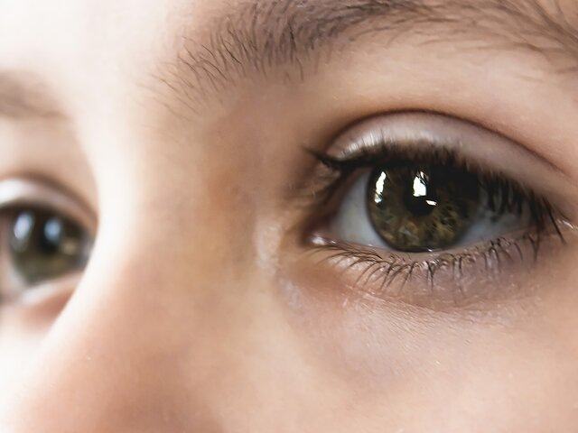    Фото: 123RF.com/margo7999