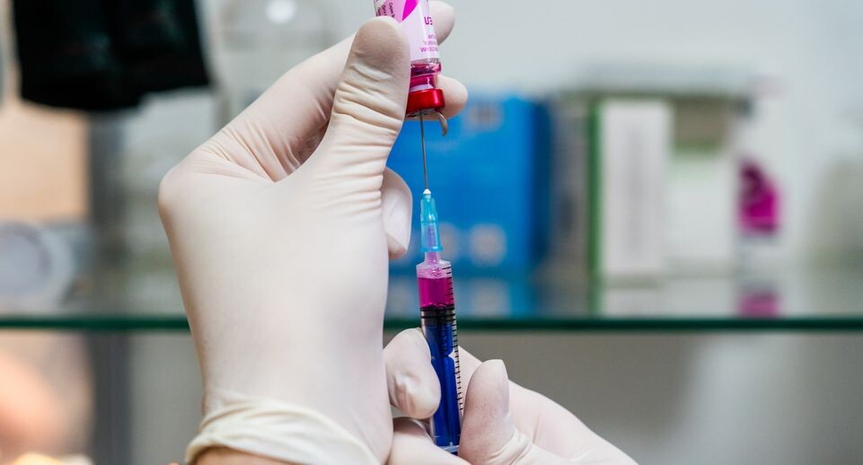    Вакцинация домашних животных на Истринской ветеринарной станции / Медиасток.рф