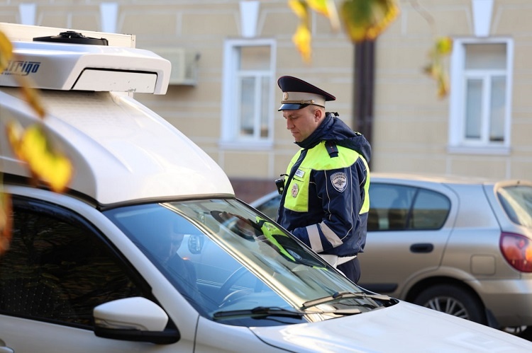    Фото ТГ-канала Госавтоинспекции РО Татьяна Пшеничная