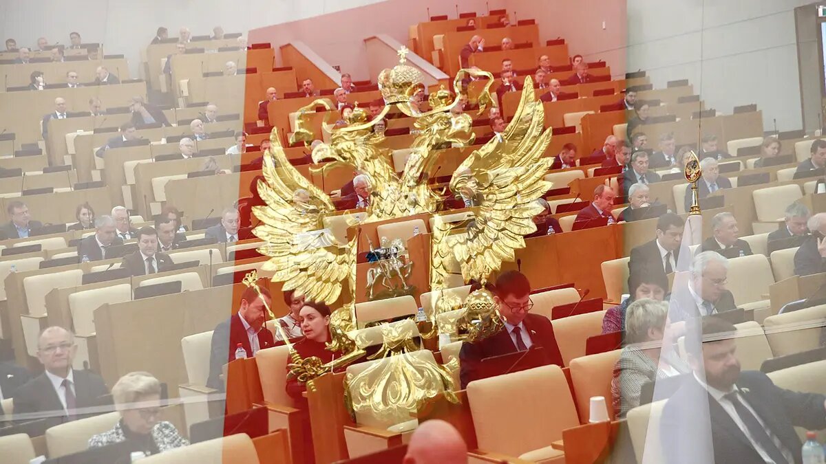    Фото: vm.ru Анна Тихомирова