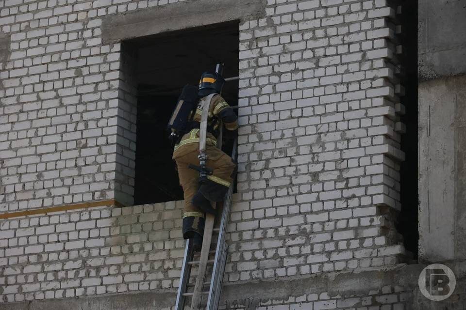    Фото: Дмитрий Рогулин/"Городские вести"