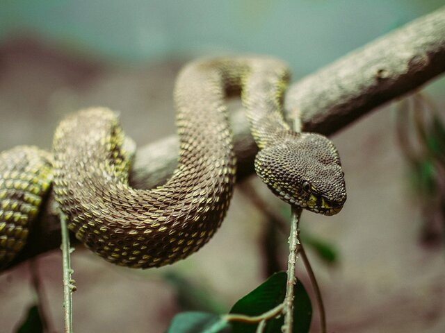    Фото: 123RF.com/deeeznutz