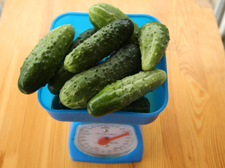   Лилия Шарловская