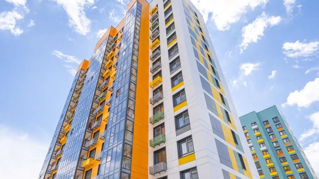    Фото: vm.ru Николь Соколова