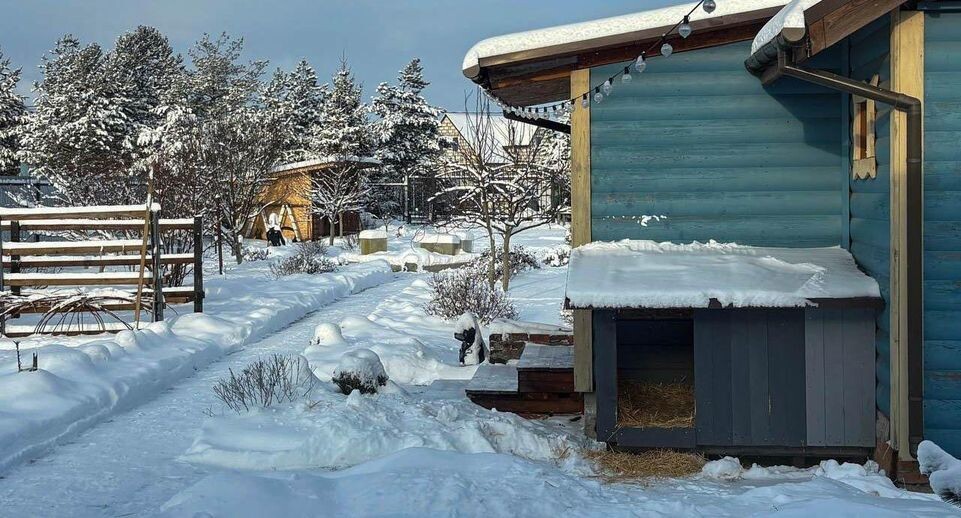    REGIONS/Полина Крачун