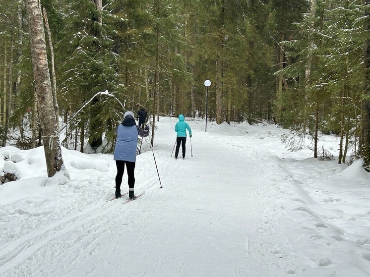     фото: мк в вологде