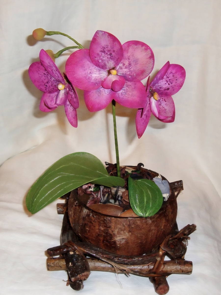 Эта орхидея до сих пор живет у меня.)