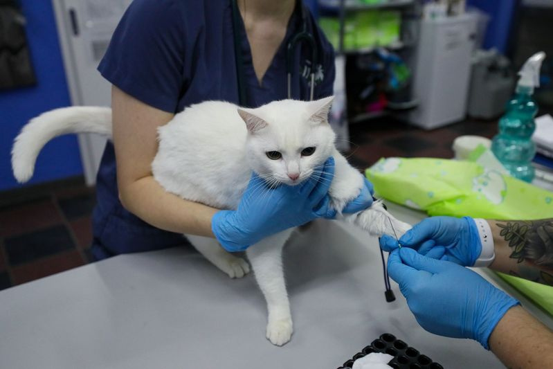    Сергей Петров/NEWS.ru