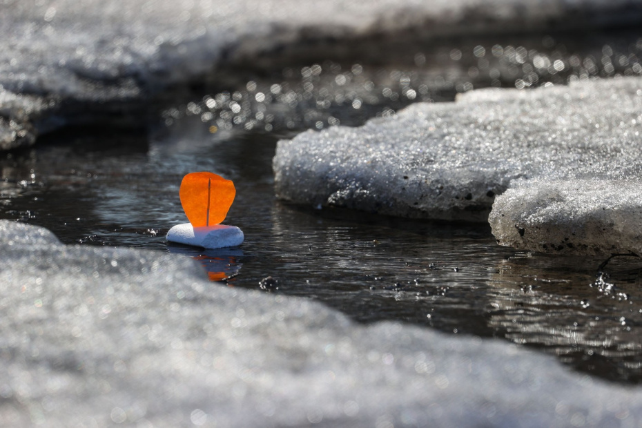    Сергей Булкин/NEWS.ru