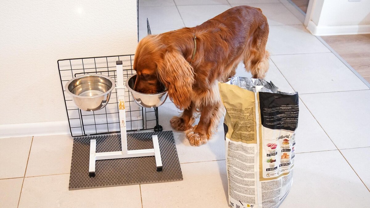    Фото: ИЗВЕСТИЯ/Сергей Лантюхов