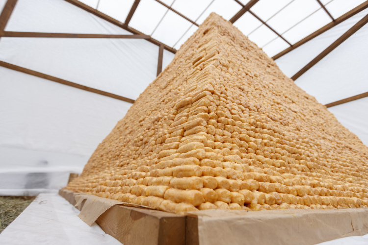    Продукт в виде конуса, пирамиды или полусферы состоит из обжаренных в масле палочек из теста, равномерно залит медом или медово-сахарным сиропом.   
Фото: «БИЗНЕС Online»