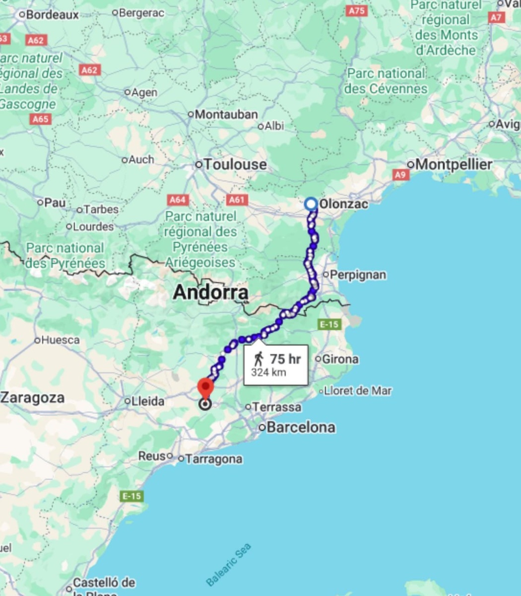 Карта передвижения кота