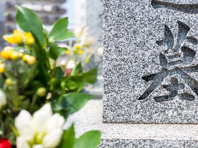    Фото: 123RF.com/wakomegumi