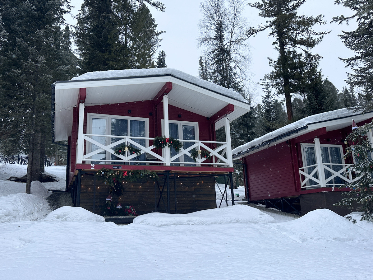 Нашли тишину в стороне от шумного центра Артыбаша. До горы — 10 минут на машине, а здесь — только вы, сосны и кедры.