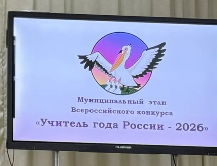 Учитель года😊 Почему пеликан?)