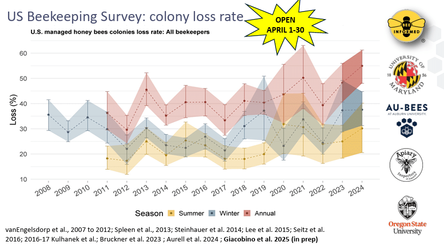Источник: исследование потерь колоний в США за 2024–2025 годы