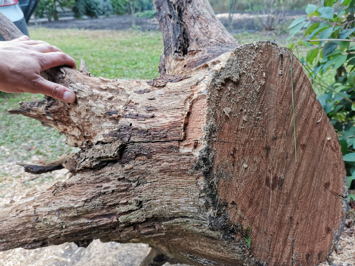 Сколько дров, угля или пеллет потребуется для комфортного отопления?