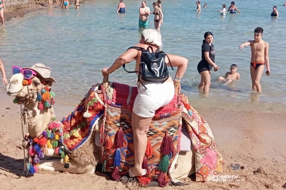    В Египте по-прежнему фотографируют и катают на верблюдах за деньги, но теперь берут их не за то, чтоб помочь спуститься с животного, а сразу