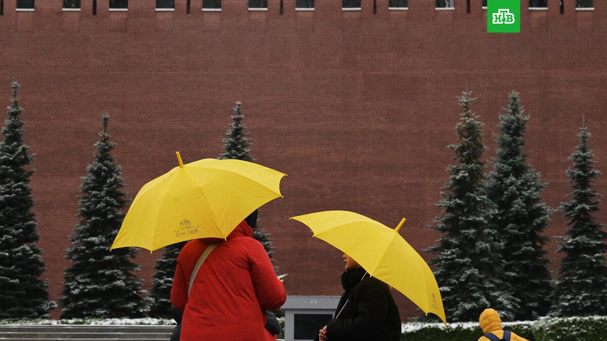    Фото: РИА Новости © 2026, Евгений Биятов