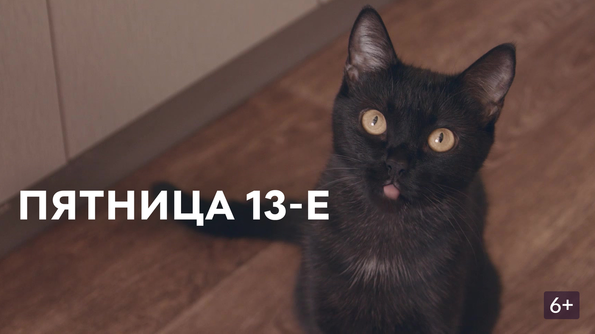 Фото из Яндекса. Спасибо автору. 