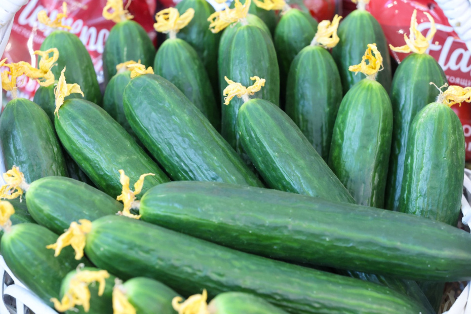    Алексей Белкин/NEWS.ru