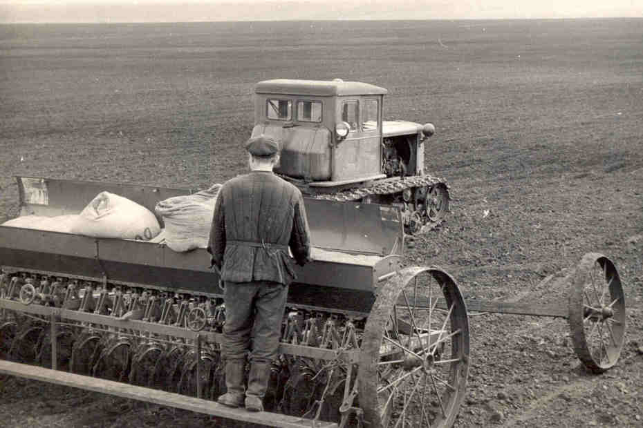 Фото: https://drugojbereg.ru